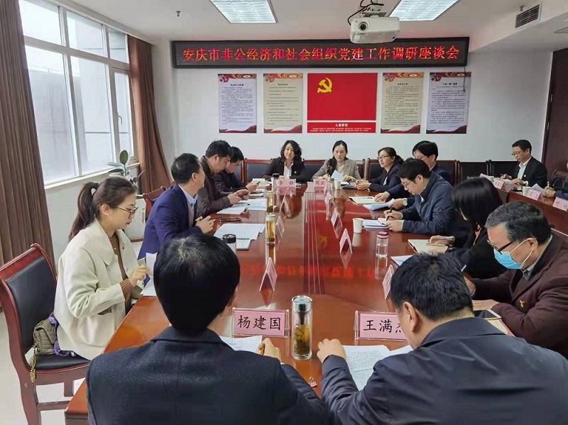 安庆市非公经济和社会组织党建工作调研座谈会