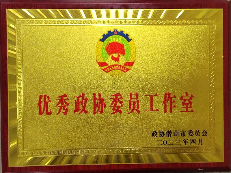 王满杰委员工作室荣获“潜山市优秀政协委员工作室”
