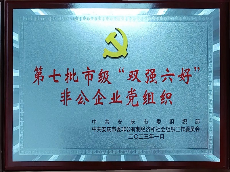 安庆市“双强六好”非公企业党组织
